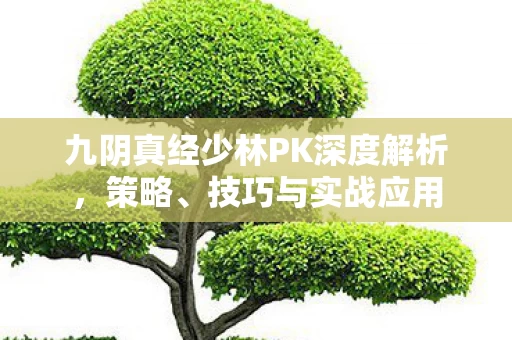 九阴真经少林PK深度解析图片