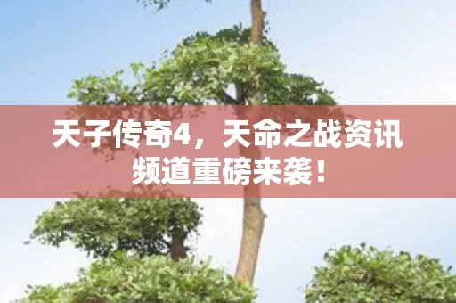 天命之战资讯频道重磅来袭图片