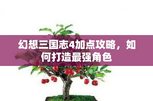 幻想三国志4加点攻略图片