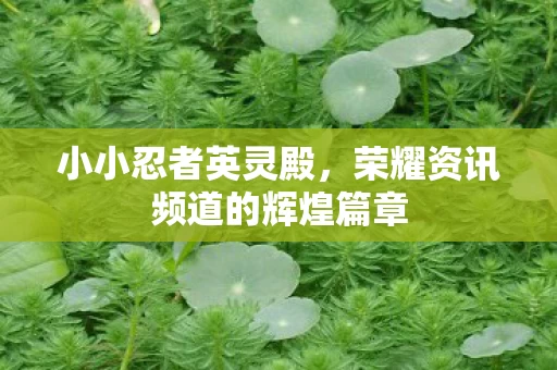 荣耀资讯频道的辉煌篇章图片