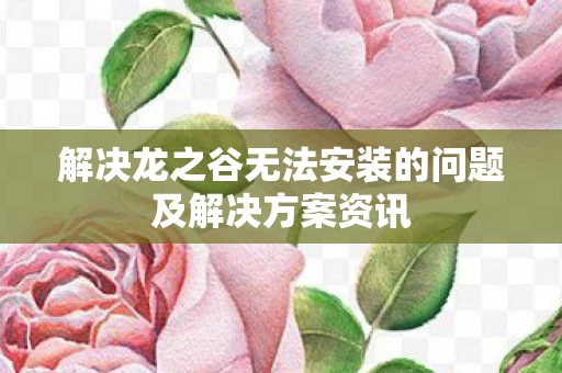 解决龙之谷无法安装的问题及解决方案资讯图片