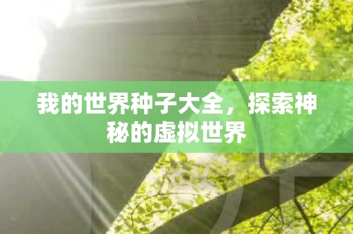 探索神秘的虚拟世界图片