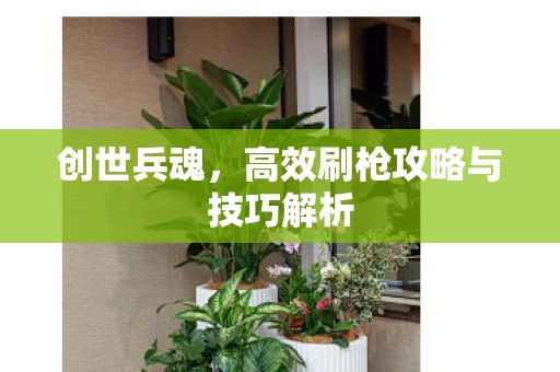 高效刷枪攻略与技巧解析图片