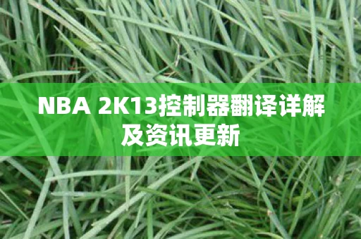 NBA 2K13控制器翻译详解及资讯更新图片
