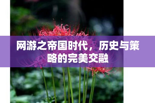 历史与策略的完美交融图片