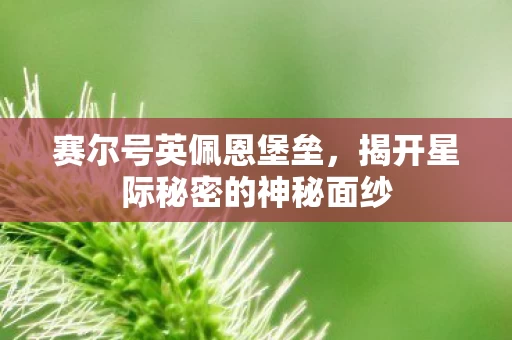 揭开星际秘密的神秘面纱图片