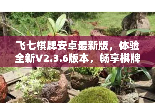 飞七棋牌安卓最新版图片