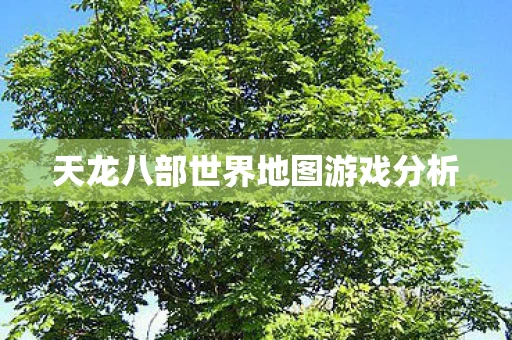 天龙八部世界地图游戏分析图片