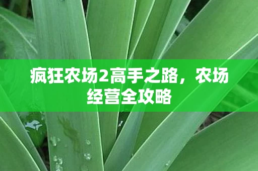 疯狂农场2高手之路图片