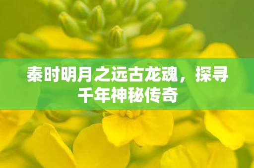 秦时明月之远古龙魂图片