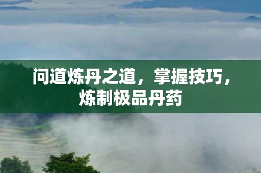 问道炼丹之道图片
