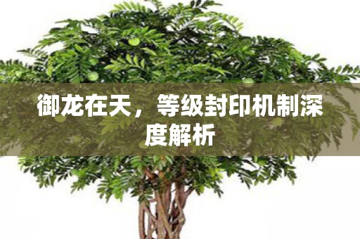 等级封印机制深度解析图片