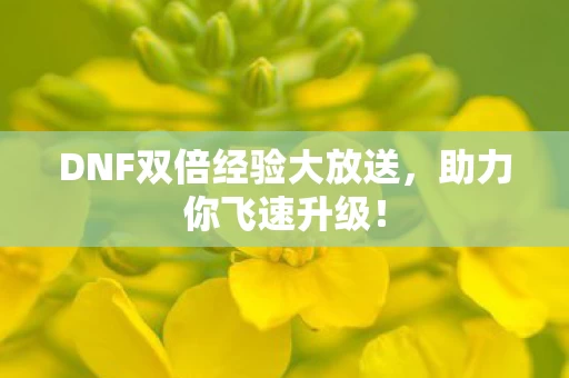 DNF双倍经验大放送图片