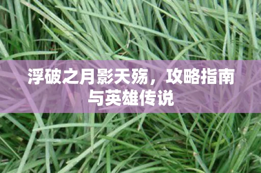 攻略指南与英雄传说图片
