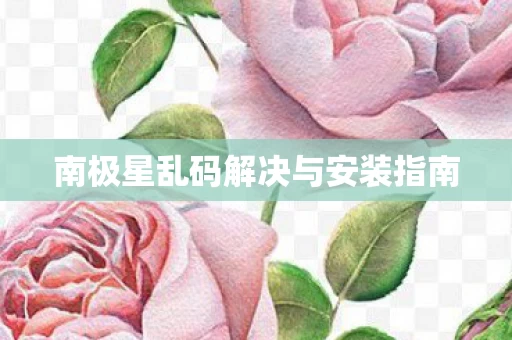 南极星乱码解决与安装指南图片