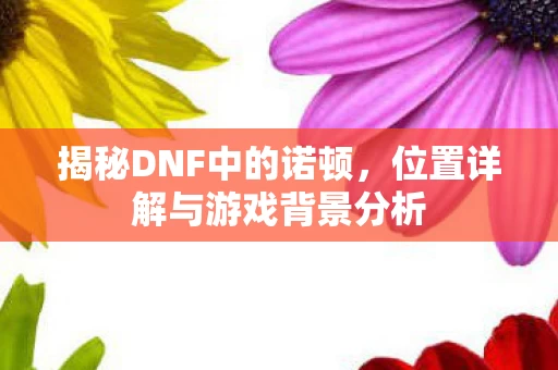 位置详解与游戏背景分析图片