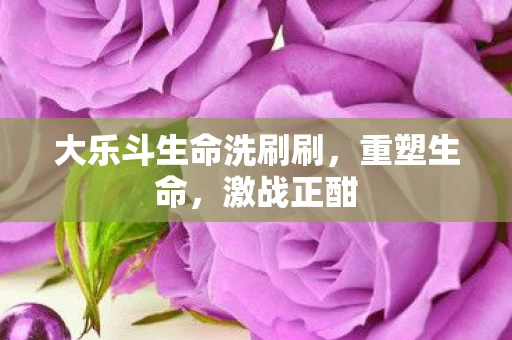 大乐斗生命洗刷刷图片