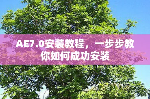 一步步教你如何成功安装图片