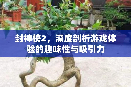 深度剖析游戏体验的趣味性与吸引力图片