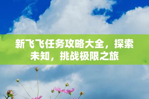 新飞飞任务攻略大全图片