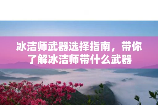 带你了解冰洁师带什么武器图片