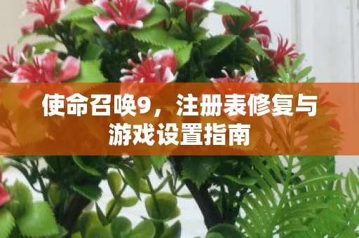 注册表修复与游戏设置指南图片