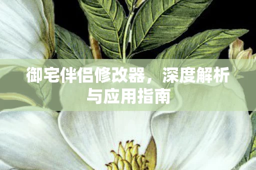 深度解析与应用指南图片