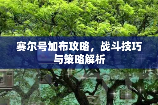 战斗技巧与策略解析图片