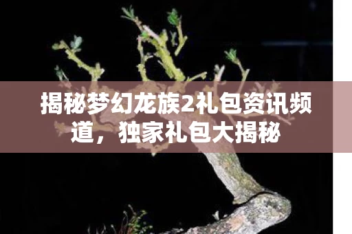 揭秘梦幻龙族2礼包资讯频道图片