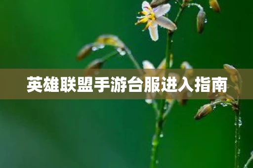 英雄联盟手游台服进入指南图片