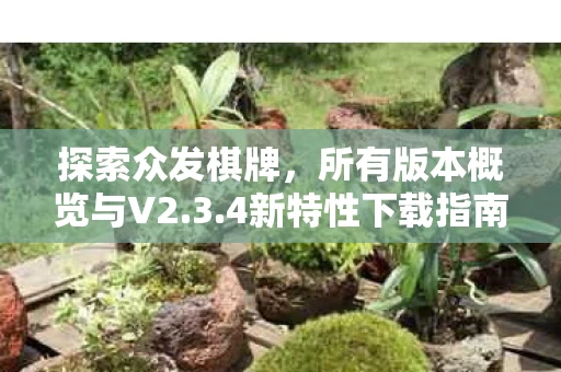 所有版本概览与V2图片