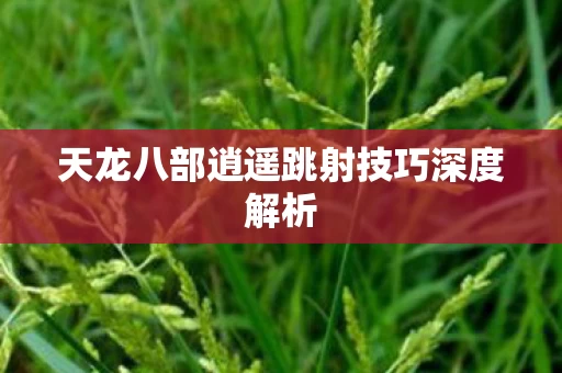 天龙八部逍遥跳射技巧深度解析图片