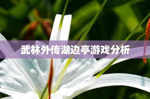 武林外传湖边亭游戏分析图片