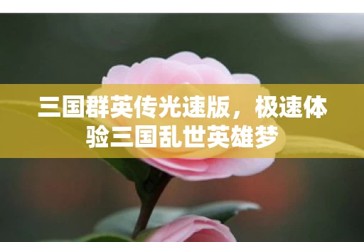 极速体验三国乱世英雄梦图片