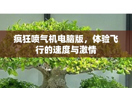 体验飞行的速度与激情图片