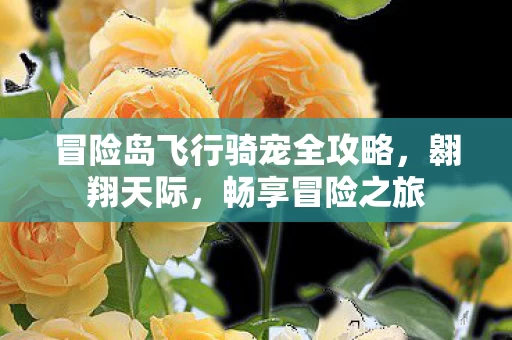 冒险岛飞行骑宠全攻略图片