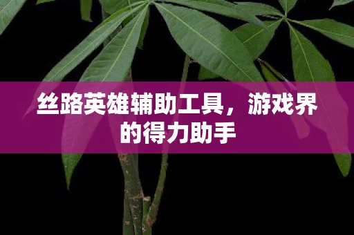 丝路英雄辅助工具图片