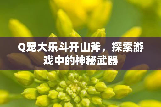 探索游戏中的神秘武器图片