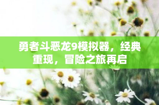 勇者斗恶龙9模拟器图片