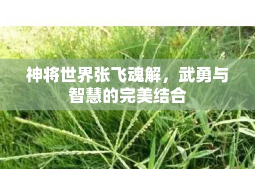 武勇与智慧的完美结合图片