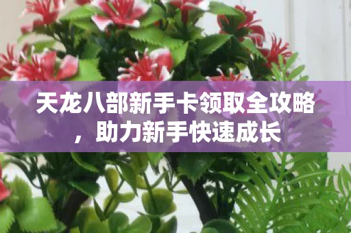 天龙八部新手卡领取全攻略图片