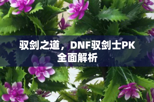 DNF驭剑士PK全面解析图片