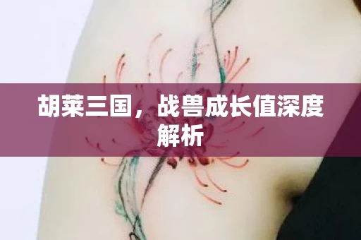 战兽成长值深度解析图片