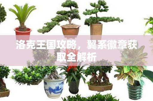 翼系徽章获取全解析图片