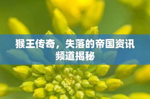 失落的帝国资讯频道揭秘图片