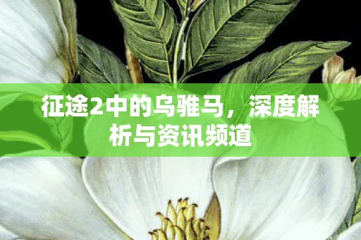 深度解析与资讯频道图片