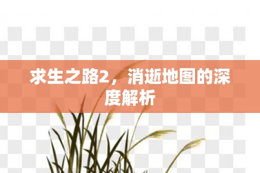 消逝地图的深度解析图片
