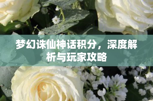 深度解析与玩家攻略图片