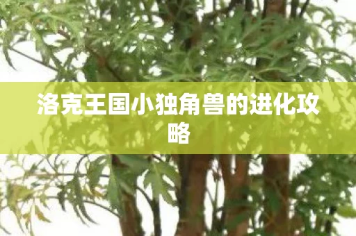 洛克王国小独角兽的进化攻略图片