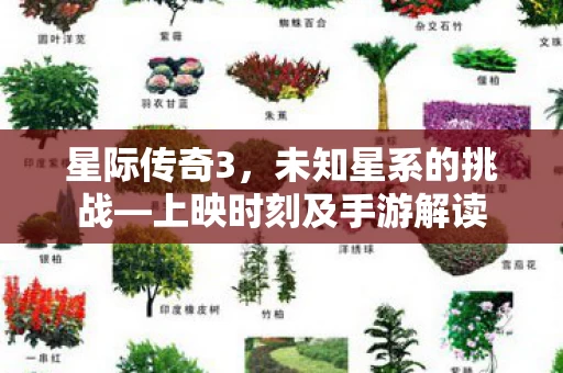 上映时刻及手游解读图片